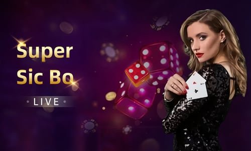 79m bet com