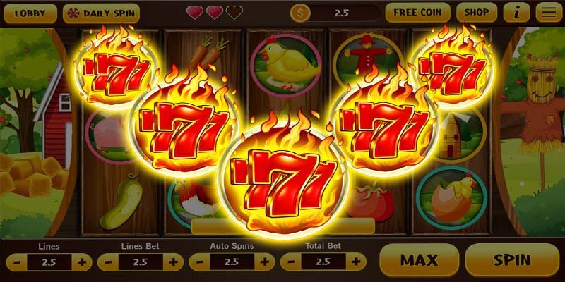 79m bet com